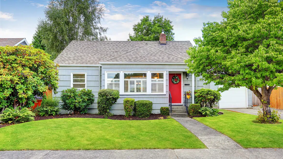 995Hope Featured Image A Blue House